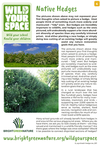 Native Hedges