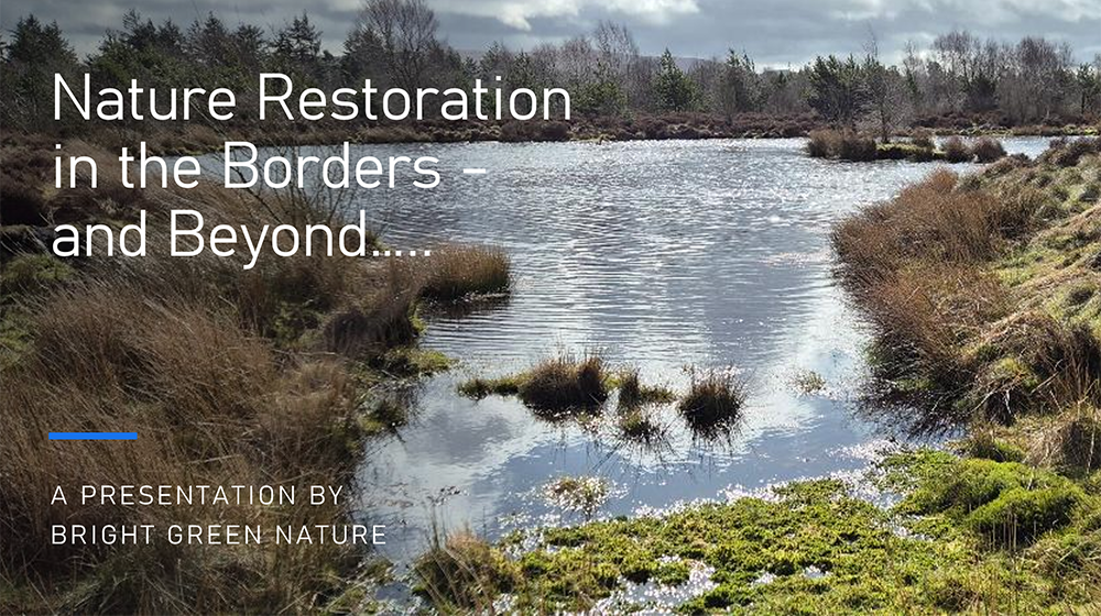 Rewilding Presentation
