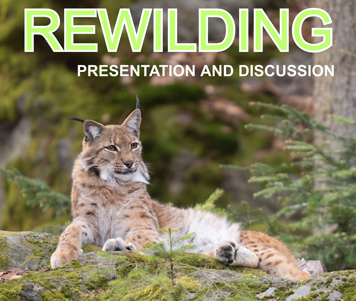 Rewilding presentation